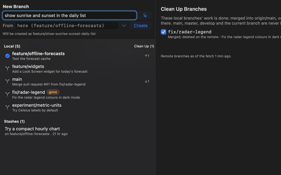 The Branches tab turning “show sunrise and sunset in the daily list” into a branch name, with Clean Up offering the merged fix/radar-legend