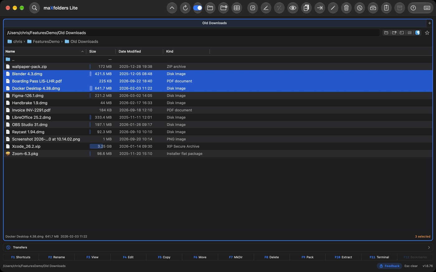 maXfolders Lite showing one folder of old downloads with disk images, PDFs and an Xcode archive, sorted with size bars, and three files selected.